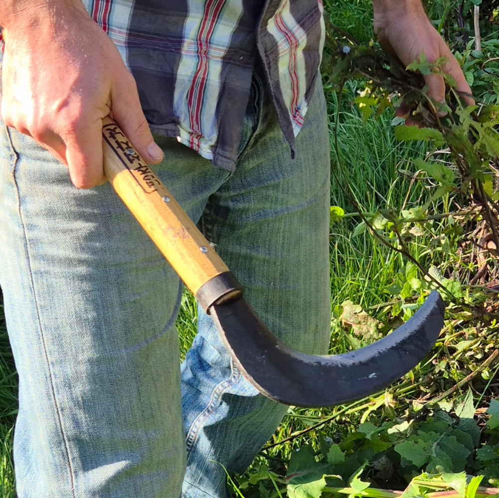 Korean Sickle