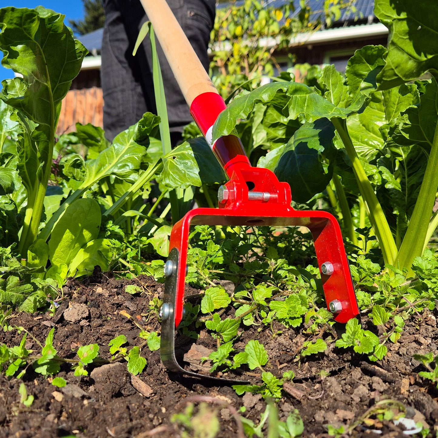 Glaser Oscillating (Hula) hand hoe 125mm