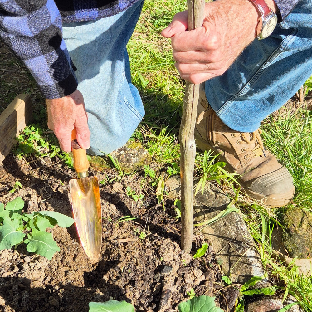 Copper Mira Trowel
