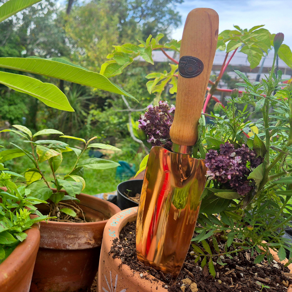 Copper Musca Trowel