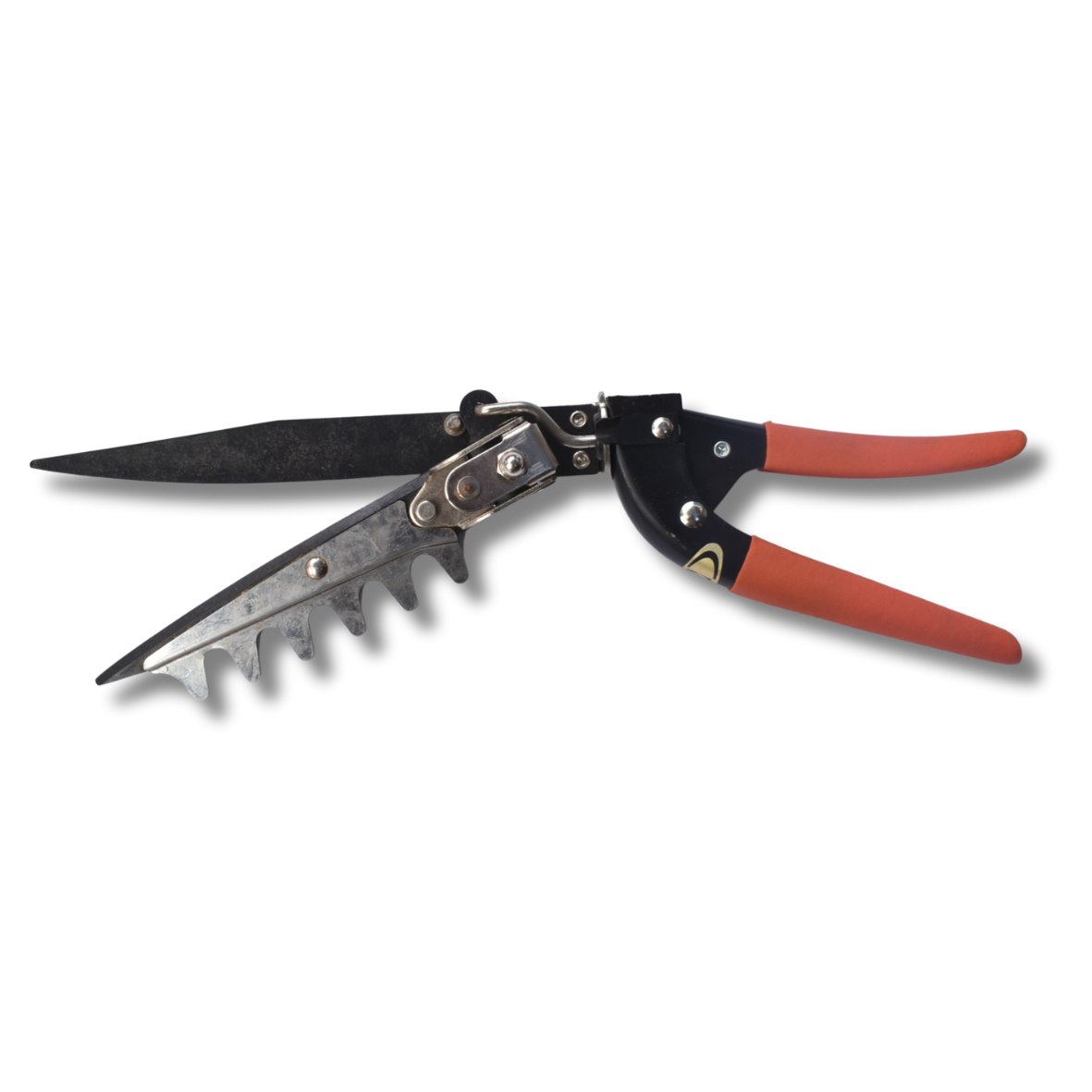 Grass Swivel Shears